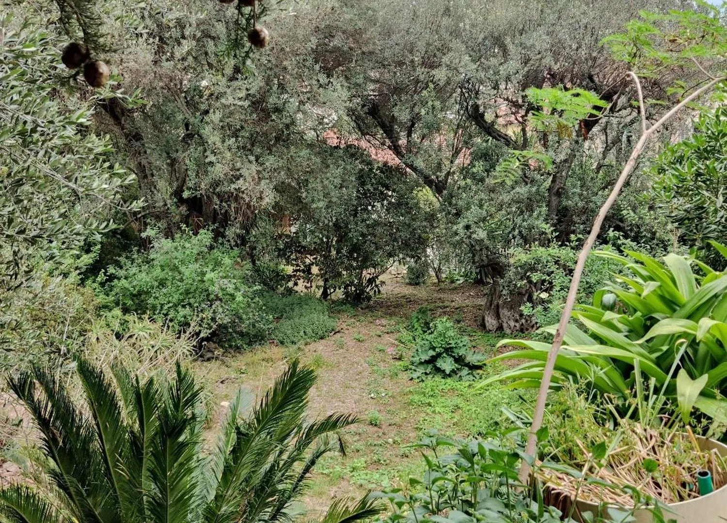 Holiday home Charming Little House, Sea View And Big Terrace Villa Roquebrune-Cap-Martin France