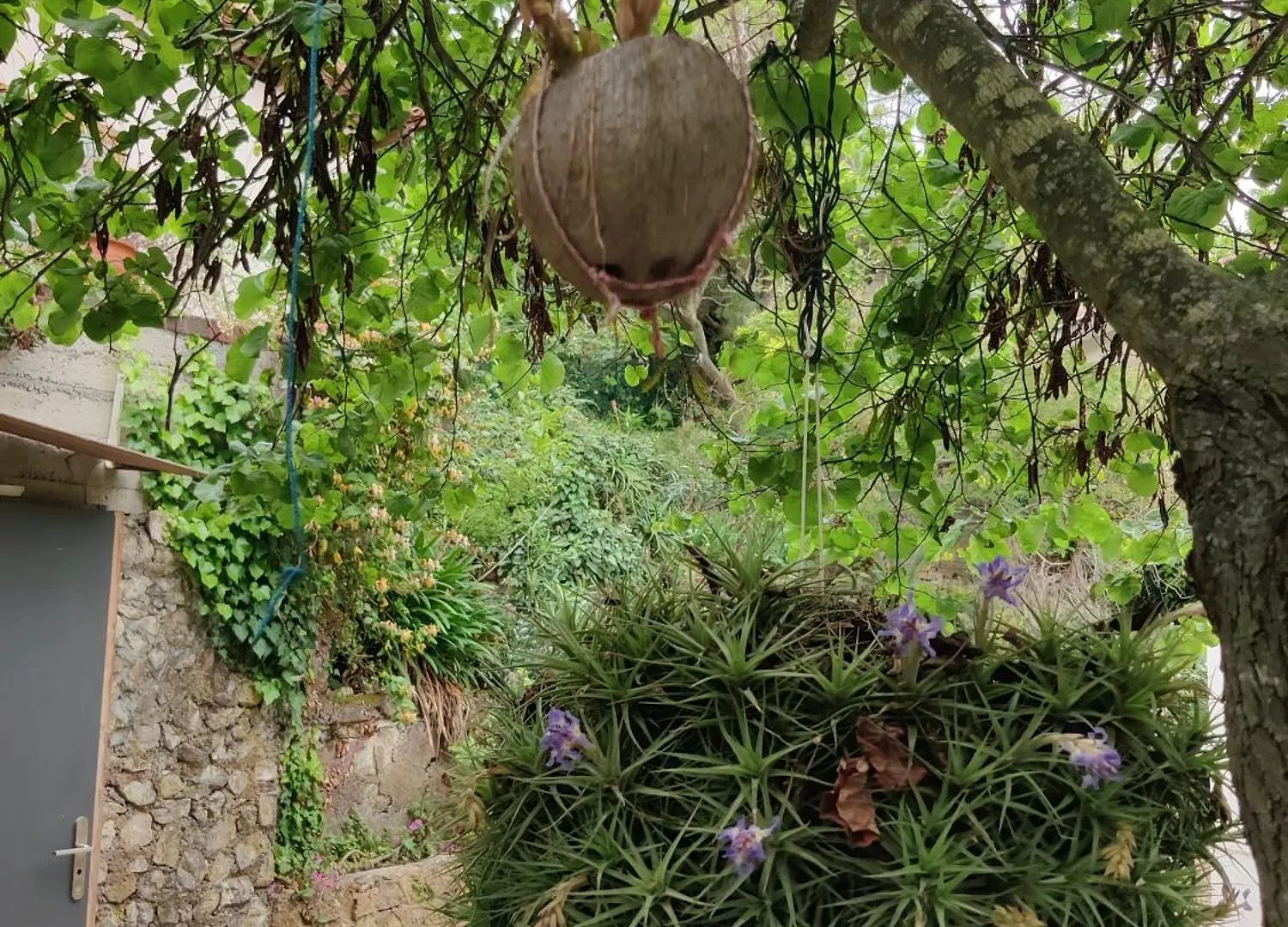 Charming Little House, Sea View And Big Terrace Villa Roquebrune-Cap-Martin