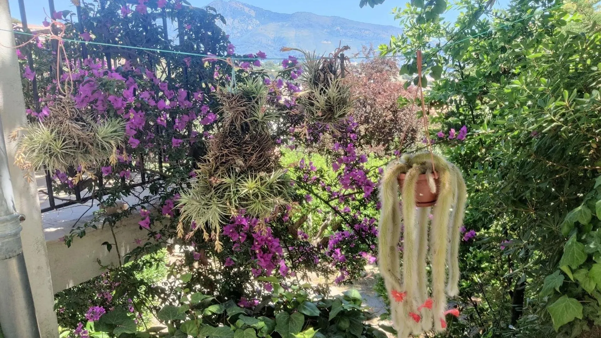 Charming Little House, Sea View And Big Terrace Villa Roquebrune-Cap-Martin France