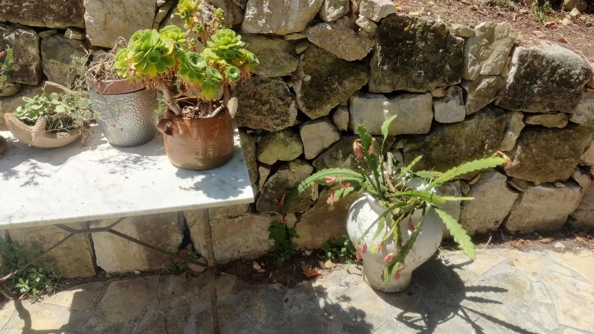 Charming Little House, Sea View And Big Terrace Villa Roquebrune-Cap-Martin Holiday home
